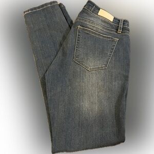 Allee Blue Straight Denim Jeans with Vintage Finish